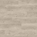 Ламинат Haro Tritty 100 Campus 4V ДУБ БЕРГАМО СЕРЕБРЯНО-СЕРЫЙ 538748  | FLOORDEALER